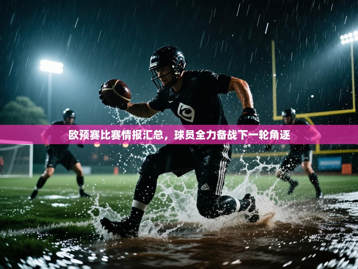 欧预赛比赛情报汇总，球员全力备战下一轮角逐  第2张