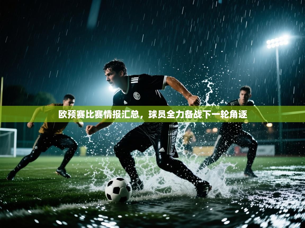 欧预赛比赛情报汇总，球员全力备战下一轮角逐  第1张