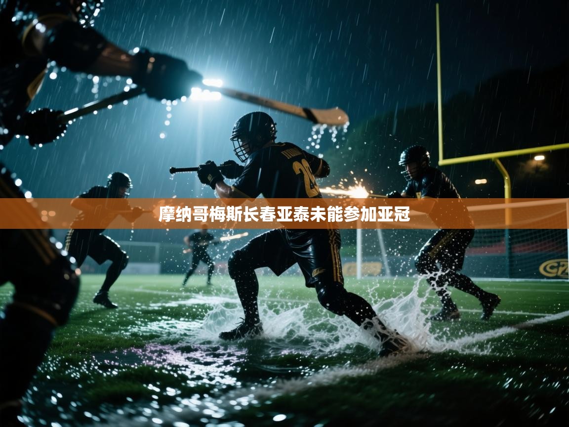 摩纳哥梅斯长春亚泰未能参加亚冠  第1张