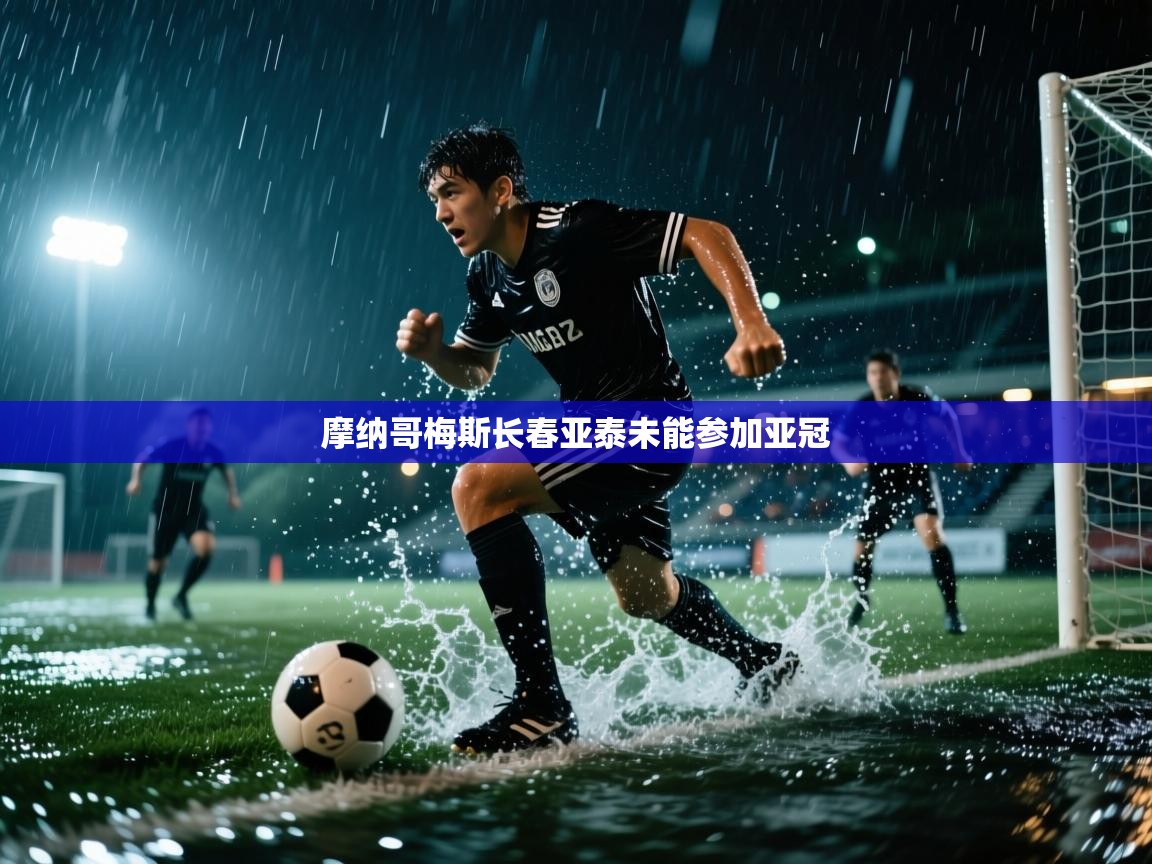 摩纳哥梅斯长春亚泰未能参加亚冠  第2张