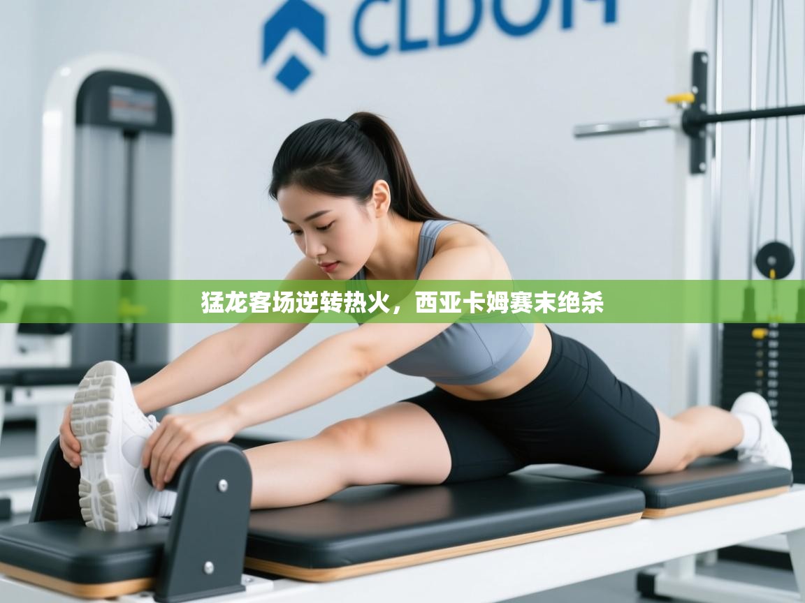 猛龙客场逆转热火，西亚卡姆赛末绝杀  第2张