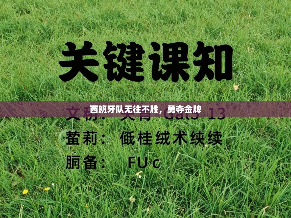 西班牙队无往不胜，勇夺金牌