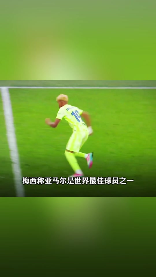 关于汉堡球员庆祝胜利，誓言将继续努力的信息